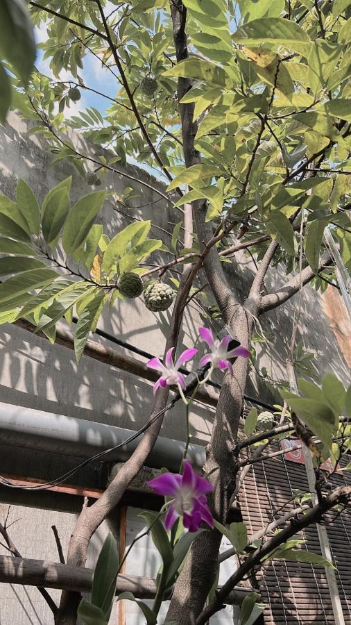 Homestay Da Nang Full House Bagian luar foto