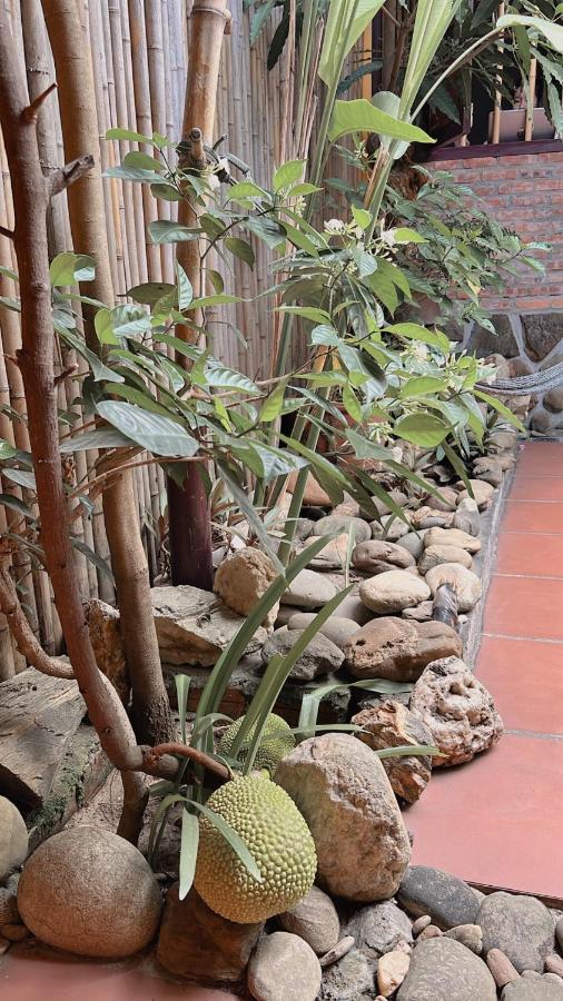 Homestay Da Nang Full House Bagian luar foto